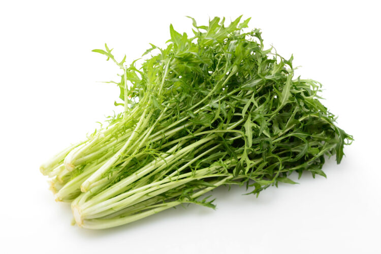 Mizuna, Supergreen to Watch Out: Top 6 Benefits of Mizuna